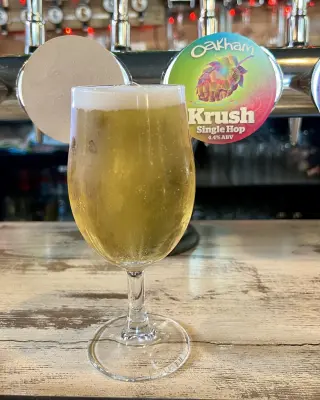 Grumbo's photo of Krush