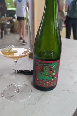 Werckmeister's photo of Vidl (2022)