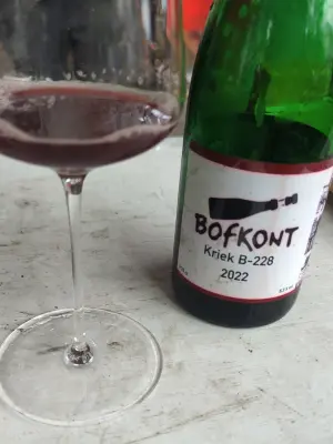 Werckmeister's photo of Kriek B-228 (2022)