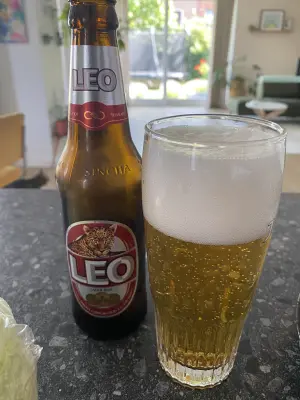 Borresteijn's photo of Leo Beer