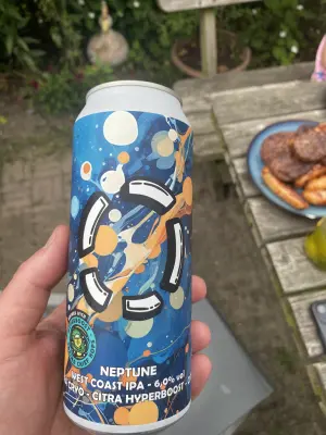 Borresteijn's photo of Neptune