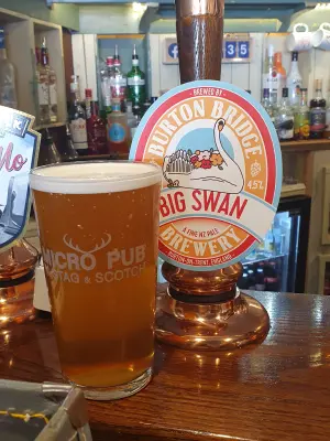 BlackHaddock's photo of Big Swan