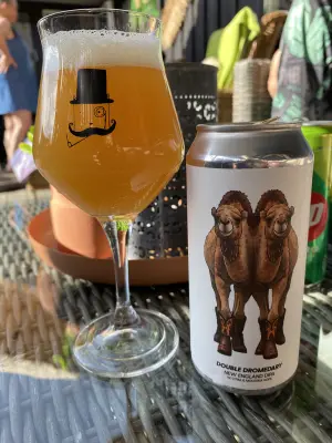IpaPils's photo of Double Dromedary