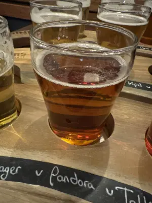 saxo's photo of Pandora - Vienna Lager