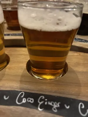 saxo's photo of Coco Ginger IPA