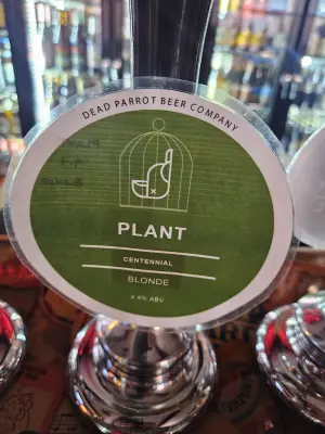 allmyvinyl's photo of Plant