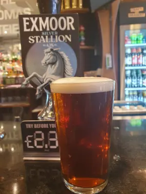 BlackHaddock's photo of Silver Stallion