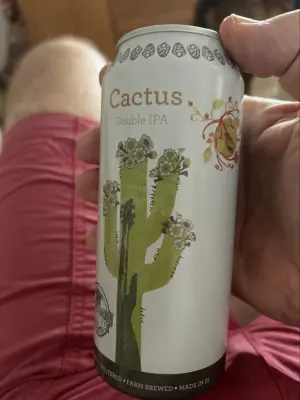 Nisse666's photo of Cactus