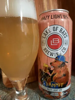 Metalchopz's photo of Dammit
