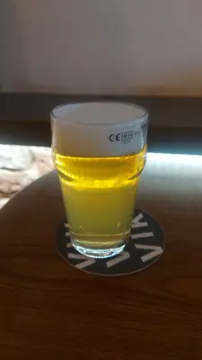 Gurthnar's photo of 13 Czech Pale Ale (2023)