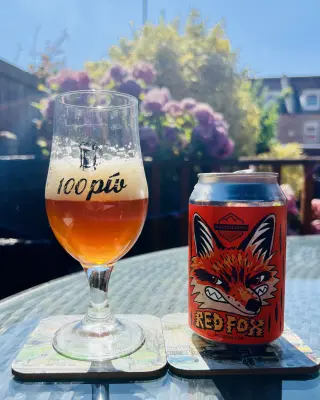 Grumbo's photo of Red Fox