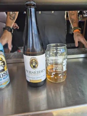Lubiere's photo of Perseides No. 5