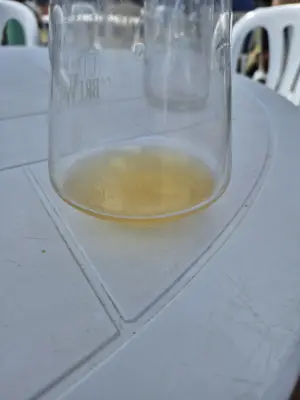 Lubiere's photo of Marine  Yuzu  (O' Citrus Yuzu)