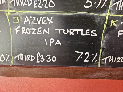 allmyvinyl's photo of Frozen Turtles