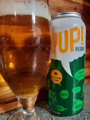 Metalchopz's photo of YUP! Pils