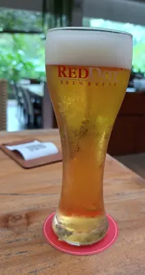 Rubin77's photo of Czech Pilsener