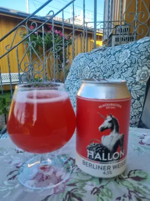 Arsol's photo of Hallon