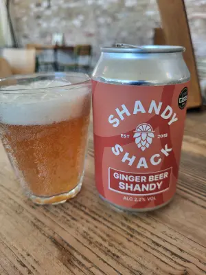 danlo's photo of Ginger Beer Shandy