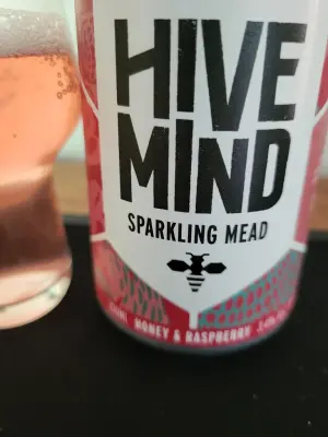 danlo's photo of Honey & Raspberry Sparkling Mead