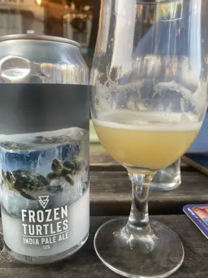 wyzzywyz22's photo of Frozen Turtles