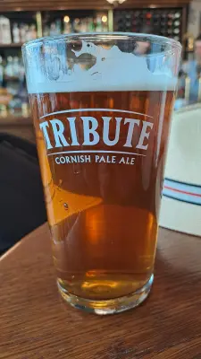 bjakk's photo of Tribute