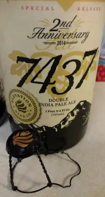 Dogbrick's photo of Elevation 7437