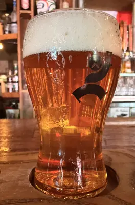 Kita's photo of Best Coast IPA