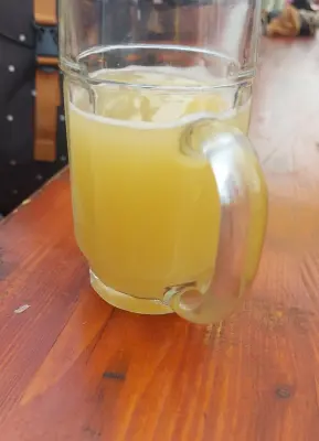 Gurthnar's photo of Kyseláč Kiwi & Hruška