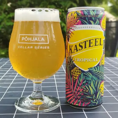 visionthing's photo of Kasteel Tropical