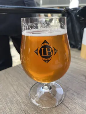 IpaPils's photo of Ryvingen Pils