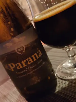 TomHendriksen's photo of Paraná