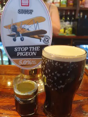 BlackHaddock's photo of Stop the Pigeon