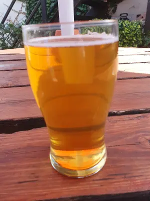 BlackHaddock's photo of Pashmina Pale