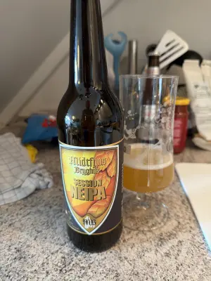 Ken1's photo of Session NEIPA