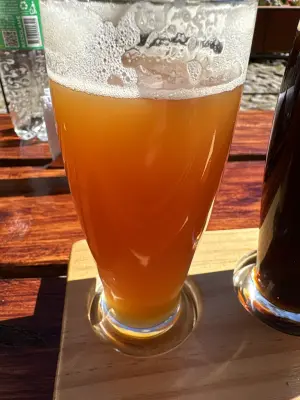 saxo's photo of Fruit Lambic
