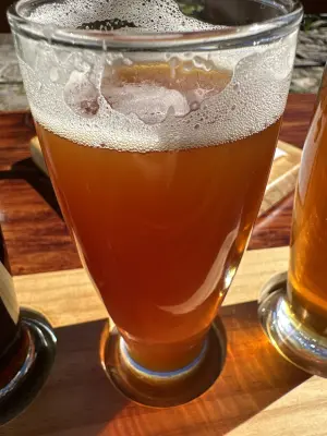 saxo's photo of Pale Ale Mandarina