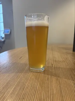 Mr_Pink_152's photo of American Pale Ale