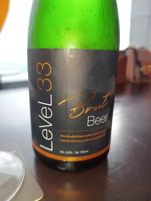 Rubin77's photo of Brut Beer