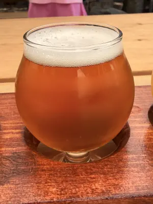 Kita's photo of Spruce Tip Pale Ale