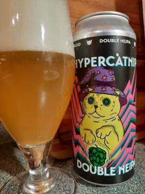 Metalchopz's photo of Hypercatnip