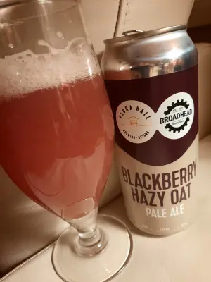 Metalchopz's photo of Blackberry Hazy Oat Pale Ale