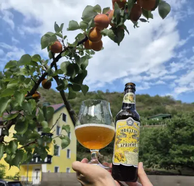 Goldbarren's photo of Organic Apricot  Fruit Beer