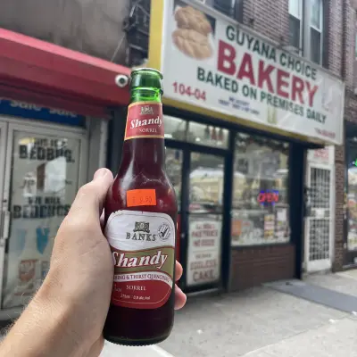kurtthomsen's photo of Shandy (Sorrel)
