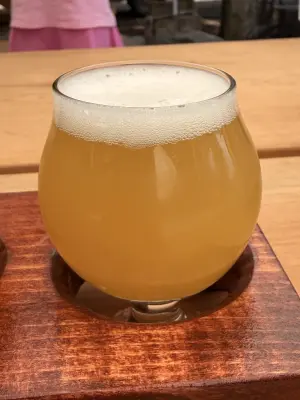 Kita's photo of Falling Giant Hazy IPA