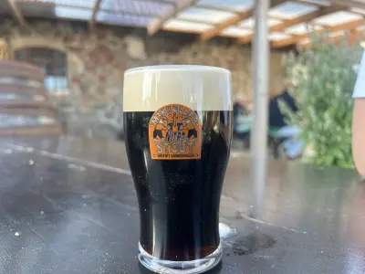 Dedollewaitor's photo of Nitro Irish Stout (2025)