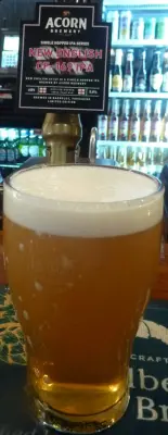 Deanso's photo of New English CF-169 IPA