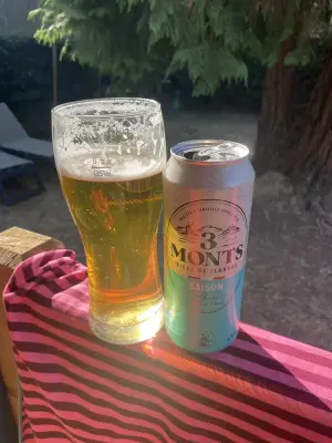 Borresteijn's photo of Saison Blonde