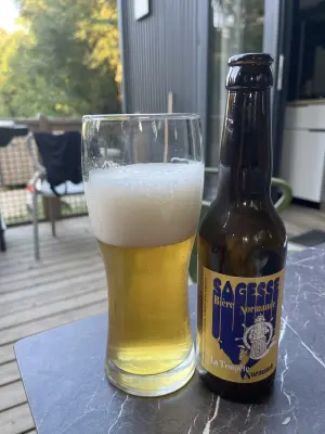 Borresteijn's photo of La Tempête Normande IPA