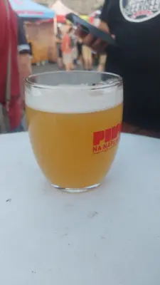 Gurthnar's photo of New England IPA 13°