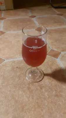 Gurthnar's photo of Bazilišek 9°